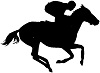 Macros & Race Cards for TVG Horse Racing